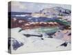 Stretched Canvas Print