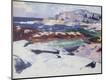 Giclee Print