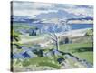 Stretched Canvas Print