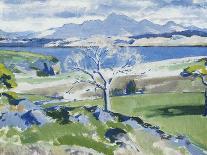 The Sound of Mull from Iona-Francis Campbell Cadell-Giclee Print