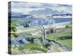 Stretched Canvas Print