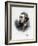 Francis Charteris, 10th Earl of Wemyss, British Whig Politician, C1890-Petter & Galpin Cassell-Framed Giclee Print