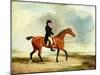 Francis Const on His Bay Hunter Riding Near the Sea, 1806-Benjamin Marshall-Mounted Giclee Print