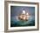 Francis Drake Sailed His Ship Golden Hind into History-null-Framed Giclee Print