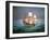 Francis Drake Sailed His Ship Golden Hind into History-null-Framed Giclee Print