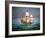 Francis Drake Sailed His Ship Golden Hind into History-null-Framed Giclee Print