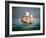 Francis Drake Sailed His Ship Golden Hind into History-null-Framed Giclee Print