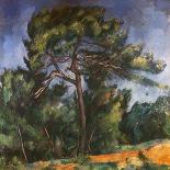 Tall Pine by Paul Cezanne-Francis G. Mayer-Giclee Print