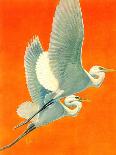 "Flying Storks," Saturday Evening Post Cover, June 19, 1937-Francis Lee Jaques-Framed Premier Image Canvas