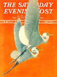 "Flying Storks," Saturday Evening Post Cover, June 19, 1937-Francis Lee Jaques-Framed Giclee Print