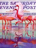 "Pink Flamingos," Saturday Evening Post Cover, January 29, 1938-Francis Lee Jaques-Giclee Print