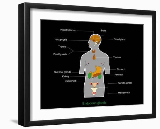 Photographic Print, , large