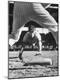 Premium Photographic Print