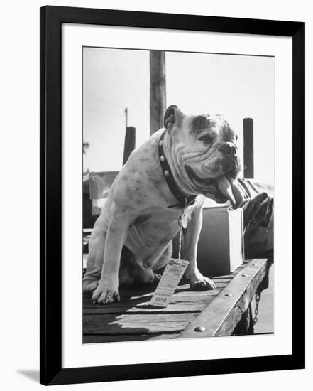 Photographic Print, , large