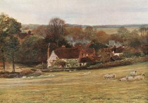 Sheep Art For Sale Prints Paintings Posters Framed Wall