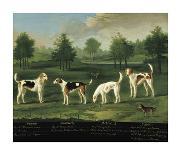 Sir Charles Warre Malet's String of Racehorses at Exercise-Francis Sartorius-Giclee Print
