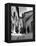 Franciscan Monks Walking Up the Via Porta Perlicinin-Alfred Eisenstaedt-Framed Premier Image Canvas