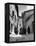 Franciscan Monks Walking Up the Via Porta Perlicinin-Alfred Eisenstaedt-Framed Premier Image Canvas