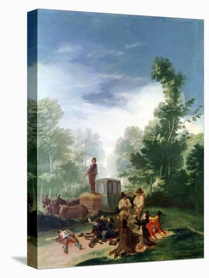 Stretched Canvas Print, , large