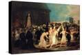 Stretched Canvas Print
