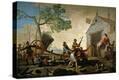 Stretched Canvas Print