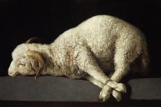 Agnus Dei (The Lamb of God), 1635-1640-Francisco de Zurbaran-Framed Giclee Print