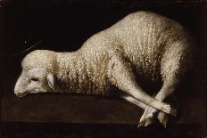 Agnus Dei, C.1635-40-Francisco de Zurbaran-Giclee Print