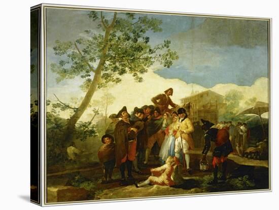 Stretched Canvas Print, , large