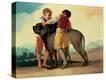 Stretched Canvas Print