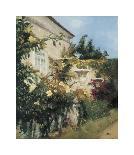 Garden in all its Splendor-Francisco Sillué-Stretched Canvas