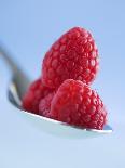 Raspberries in a Small Bowl-Franck Bichon-Photographic Print