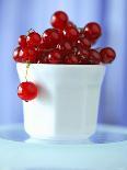 Raspberries in a Small Bowl-Franck Bichon-Photographic Print