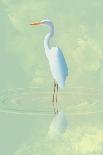 Heron-Franco Caballero-Giclee Print