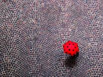 urban ladybug-franco maffei-Photographic Print