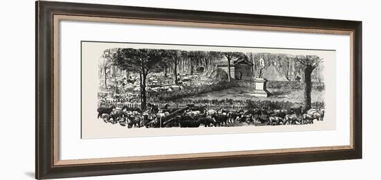 Franco-Prussian War: the Last in the Luxembourg Gardens Housed Sheep, France-null-Framed Giclee Print