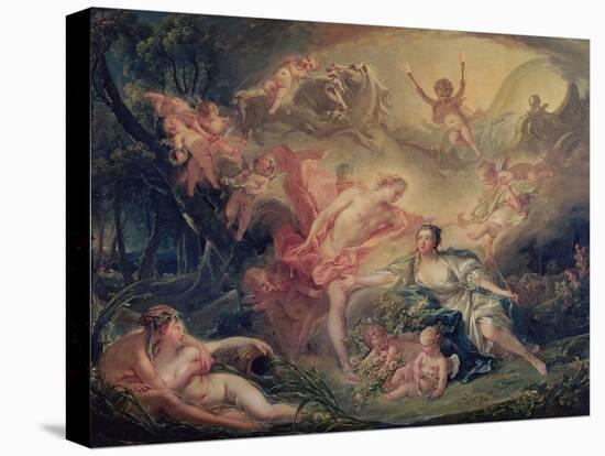 Stretched Canvas Print, , large