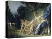 Stretched Canvas Print