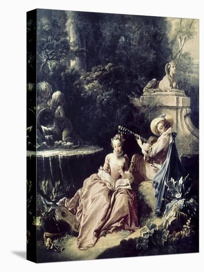Stretched Canvas Print, , large