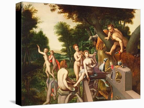 Stretched Canvas Print, , large