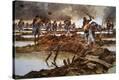 Stretched Canvas Print