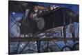 Stretched Canvas Print