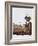 Francois Le Vaillant at the Camp Along the Orange River-Francois Le Vaillant-Framed Giclee Print