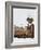 Francois Le Vaillant at the Camp Along the Orange River-Francois Le Vaillant-Framed Giclee Print