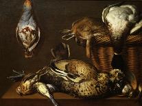 Nature Morte Aux Gibier (Still Life with Game), 1671-Francois Mather-Giclee Print