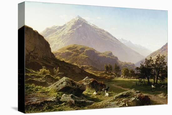 Stretched Canvas Print, , large