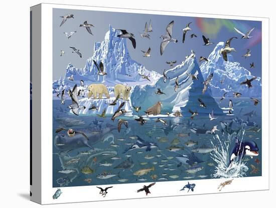Stretched Canvas Print, , large