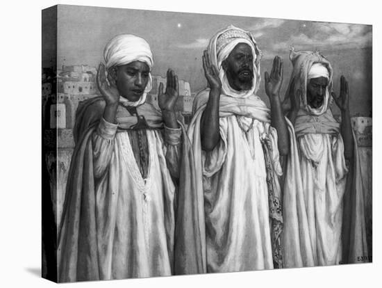 Stretched Canvas Print, , large