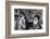 Françoise Hardy and the Rolling Stones's Singer, Mick Jagger-Bouchara-Framed Photographic Print