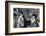 Françoise Hardy and the Rolling Stones's Singer, Mick Jagger-Bouchara-Framed Photographic Print