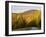 Franconia Notch Bike Path in New Hampshire's White Mountains, USA-Jerry & Marcy Monkman-Framed Photographic Print